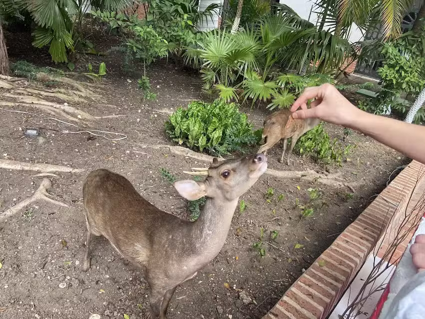 Hc-vp Hotel Room Facing The Sea With Pool Air Conditioning And Wifi