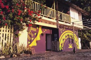 Hector&rsquo;s House