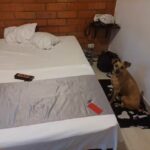 Hospedaje Bella Vista