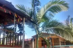 Hospedaje La Victoria