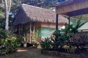 Hospedaje nai Chambira