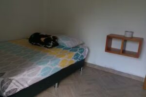 Hospedaje Naturaleza Viva