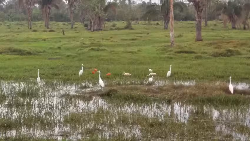 Hospedaje Sol y Sombra