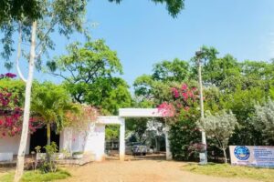 Hostal OLAS CLUB DE NEGUANJE &ndash; TAYRONA