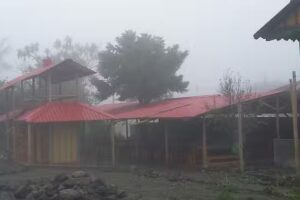 Hostal y Restaurante Las Mercedes