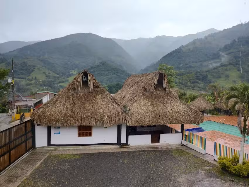 Hoster&iacute;a Heliconia