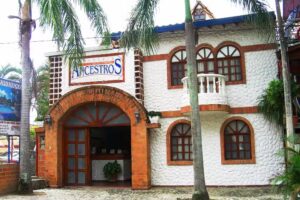 Hoster&iacute;a Mis Ancestros