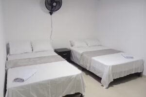 Hoster&iacute;a Sacudete