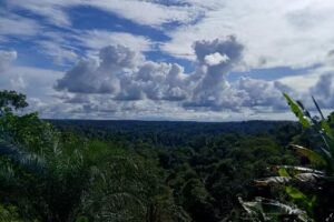 Hotel black and white