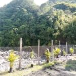 Hotel Campestre La Playa