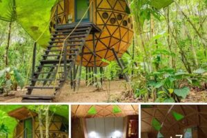 Hotel Ca&ntilde;o Cristales Makalombia