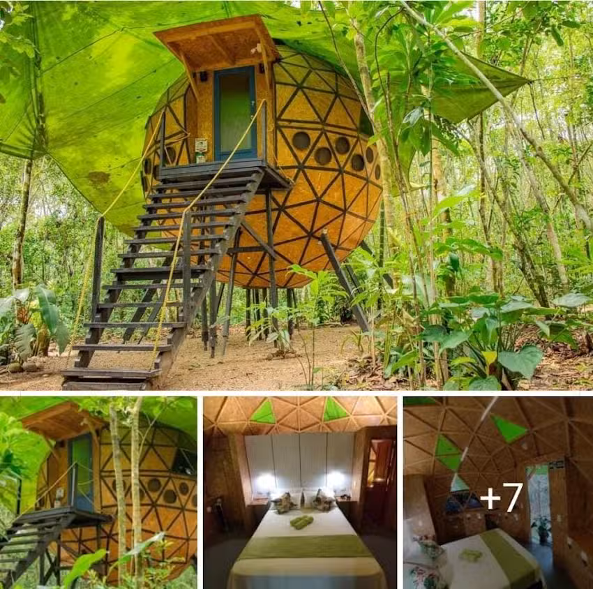 Hotel Ca&ntilde;o Cristales Makalombia