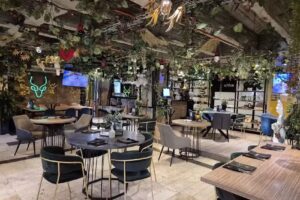 Hotel D&rsquo; Le&oacute;n