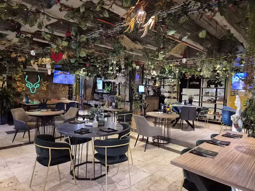 Hotel D&rsquo; Le&oacute;n