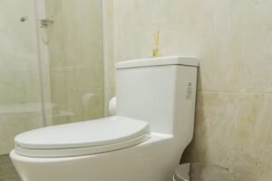 HOTEL DES INDES CARTAGENA