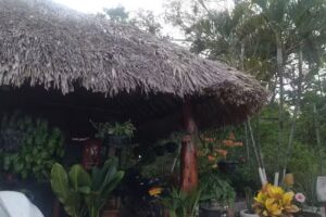 Hotel El Rancho de Sofia