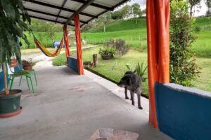 Hotel House La Llanura