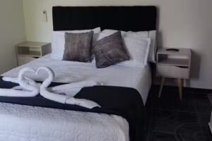 Hotel koala tolimense