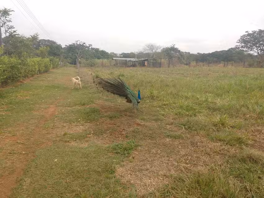 Hotel La Posada De Pedro