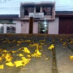 Hotel las am&eacute;ricas