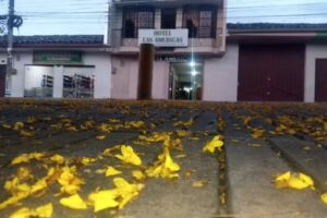 Hotel las am&eacute;ricas