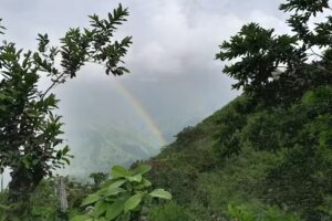 Hotel Las Hamacas Valdivia