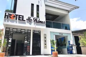 Hotel las Palmas Lejan&iacute;as Meta