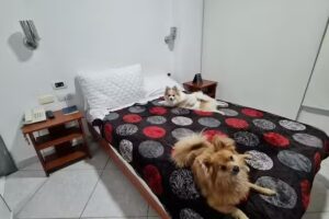 Hotel Manhattan Barbosa