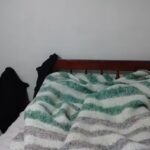 Hotel Palomares