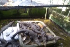 Hotel Rinc&oacute;n del Gaviero