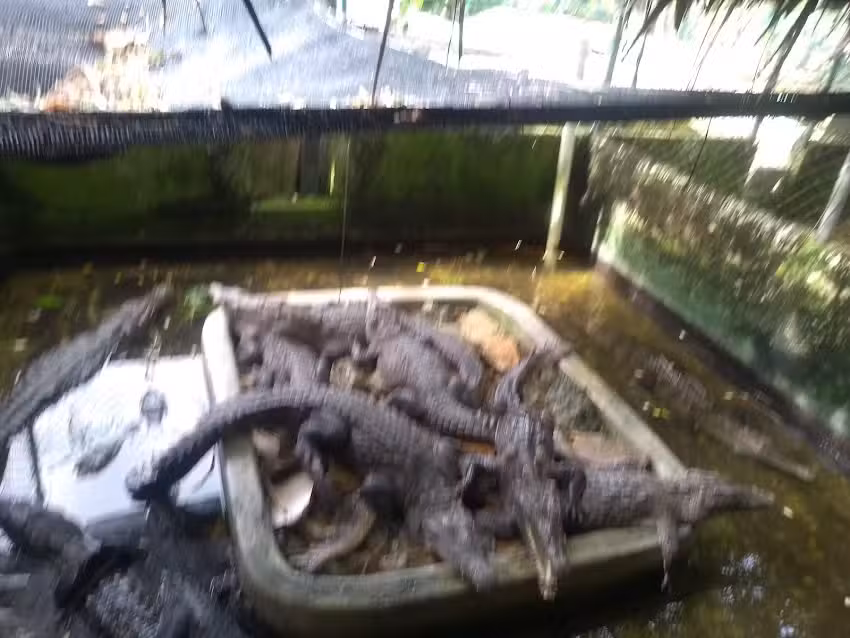 Hotel Rinc&oacute;n del Gaviero