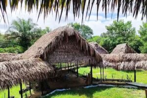 Hotel | Somdug / Karan&aacute; Nativa-Sonidos de la selva | agencia de turismo