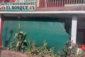 Hotel Y Restaurante El Bosque