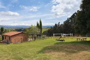 Hykata C&oacute;mbita