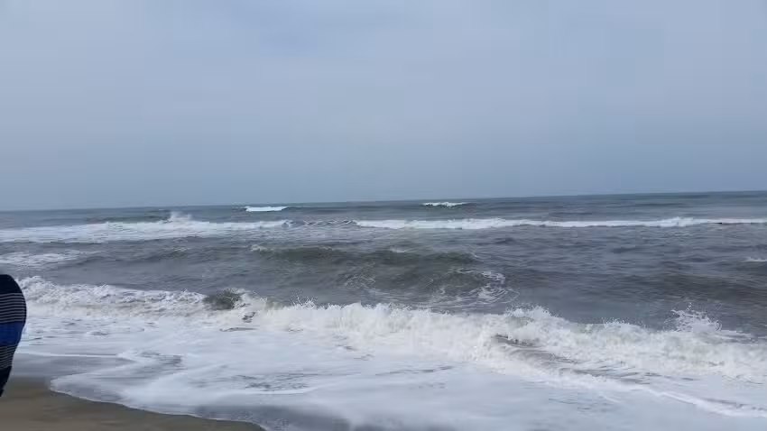 La Arboleda Soledad Atlantico