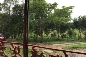 La caba&ntilde;a de Beto