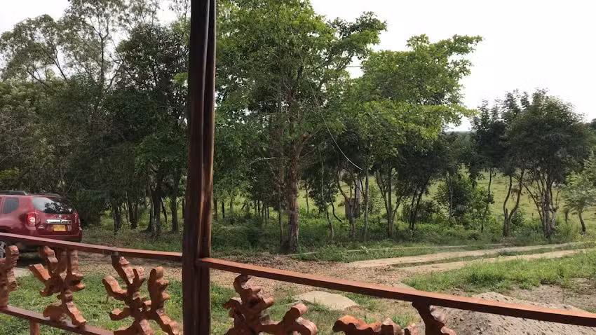 La caba&ntilde;a de Beto