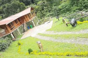 &ldquo; La caba&ntilde;a del t&iacute;o pop&rdquo;