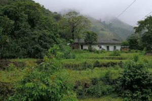 LA CABA&Ntilde;A, LA VEGA CAUCA