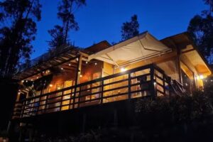 La Cabaña Los Pinos Tiny House