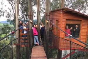 la casa en el arbol, los tunos