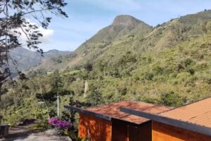 La Cima Bachu&eacute;