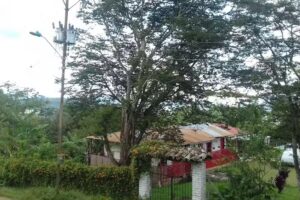 La Cumbre Casa DORA Alicia