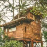 La Gloria Reserva Forestal