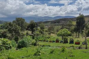 La Granja de Mary Agroturismo