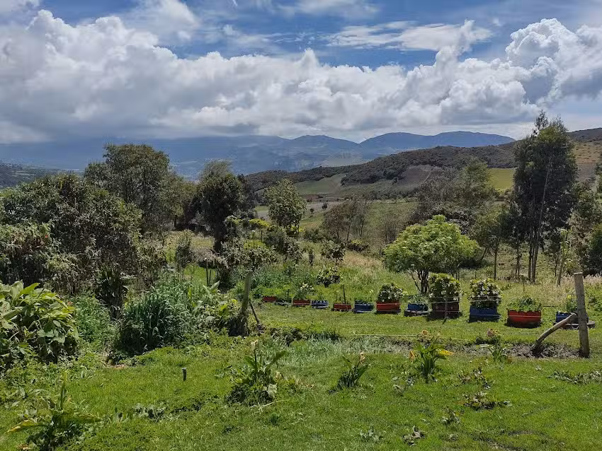 La Granja de Mary Agroturismo