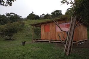 La Palma de Tatamá RN