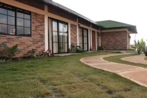 LA PATRONA LA CUMBRE, PAVAS