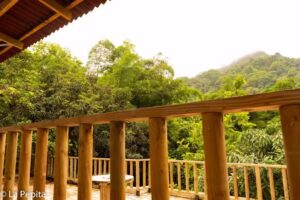 La pepita hostal Minca