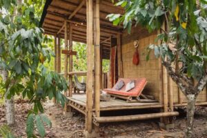 La Ponderosa Reserve